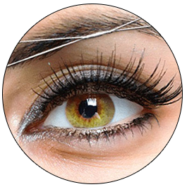 10% Off Eyebrow Threading or Eyebrow Waxing